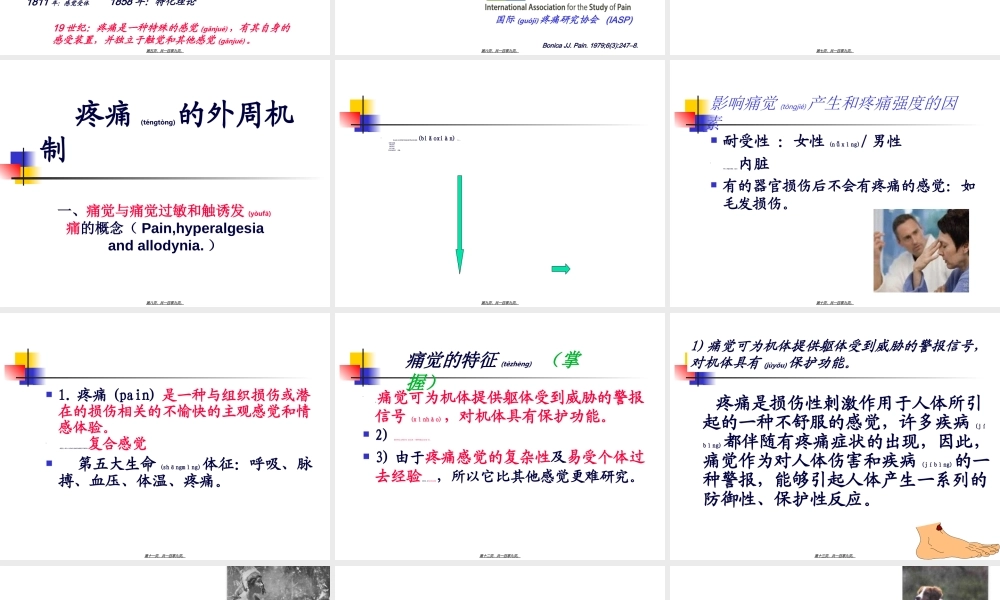 2022年医学专题—疼痛外周(1).ppt