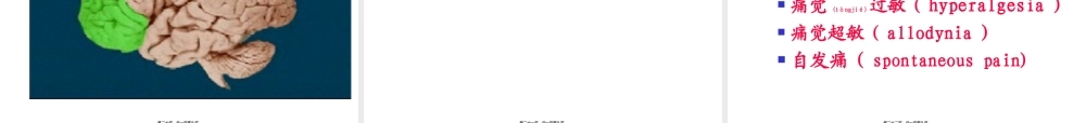 2022年医学专题—疼痛外周(1).ppt