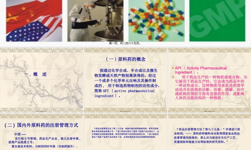 原料药申报资料技术要求(1).pptx