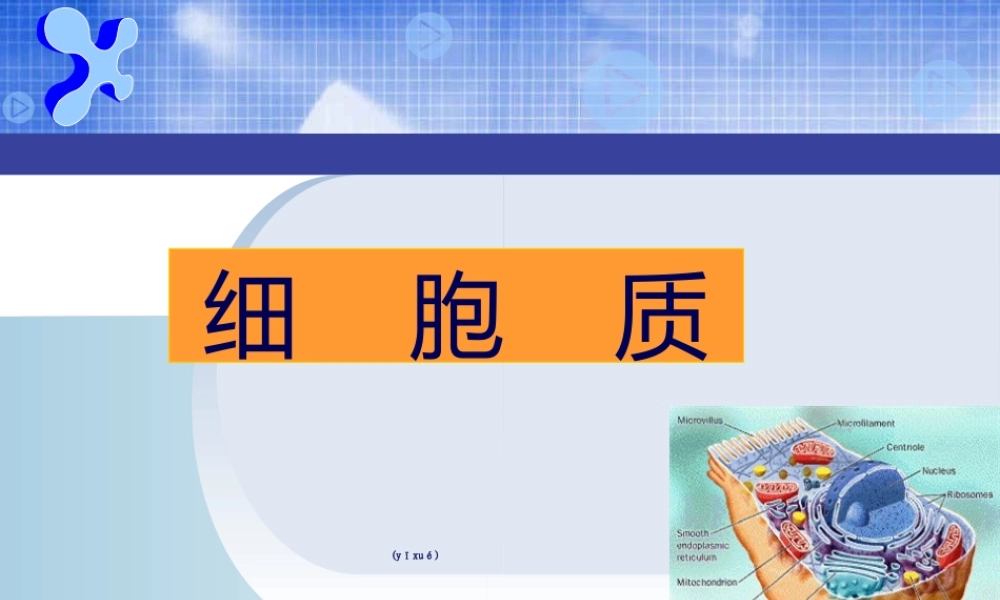 2022年医学专题—(细胞质)全解(1).ppt