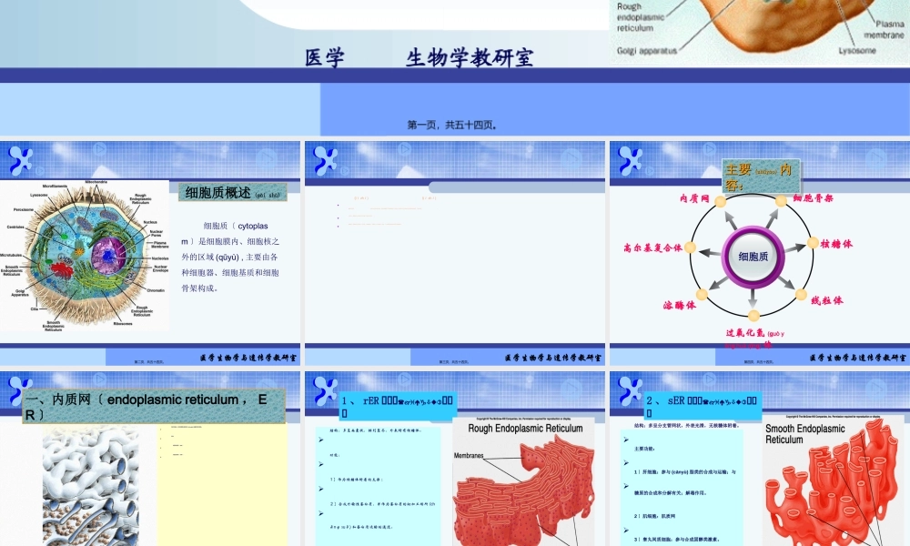 2022年医学专题—(细胞质)全解(1).ppt