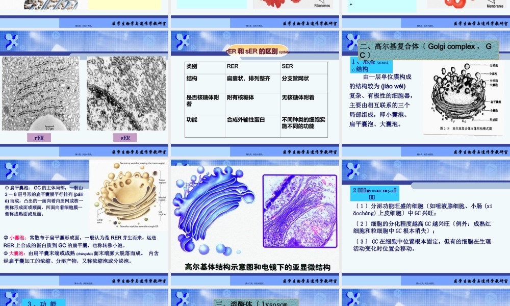 2022年医学专题—(细胞质)全解(1).ppt