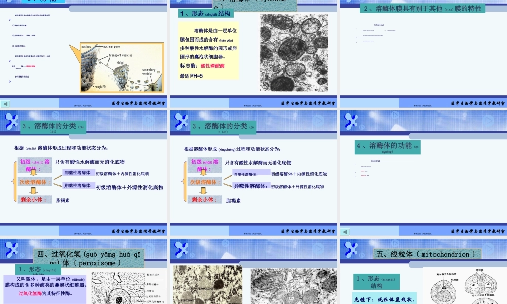 2022年医学专题—(细胞质)全解(1).ppt