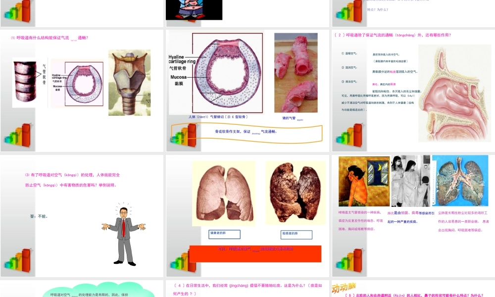 2022年医学专题—4.3.1李善娥111呼吸道对空气的处理(1).ppt