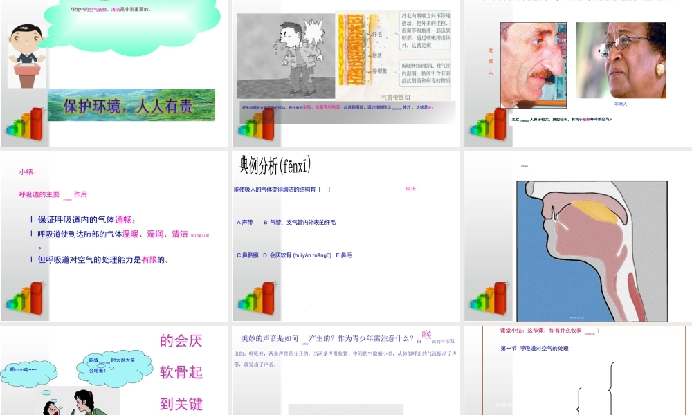 2022年医学专题—4.3.1李善娥111呼吸道对空气的处理(1).ppt