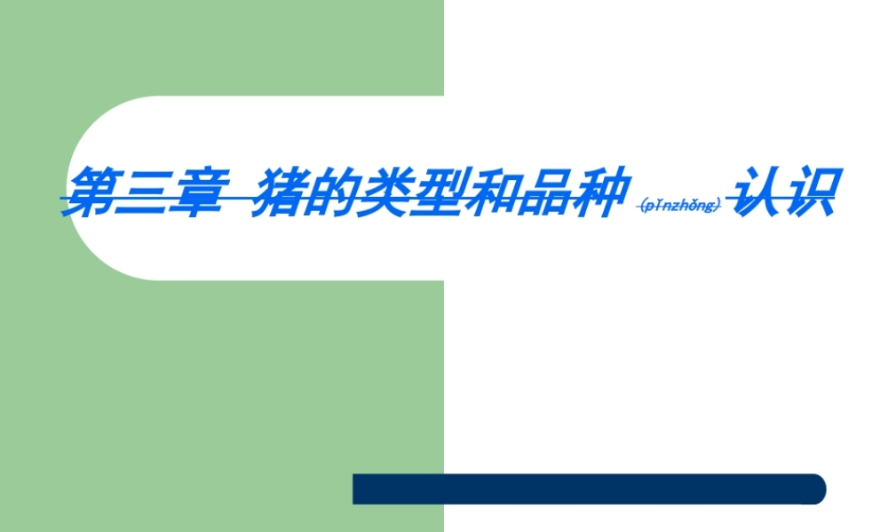 2022年医学专题—《养猪与猪病防治》-三、猪的类型与品种认识解读(1).ppt