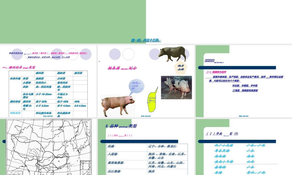 2022年医学专题—《养猪与猪病防治》-三、猪的类型与品种认识解读(1).ppt