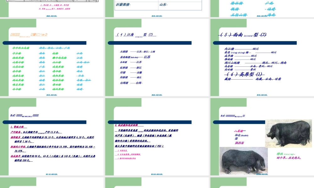 2022年医学专题—《养猪与猪病防治》-三、猪的类型与品种认识解读(1).ppt
