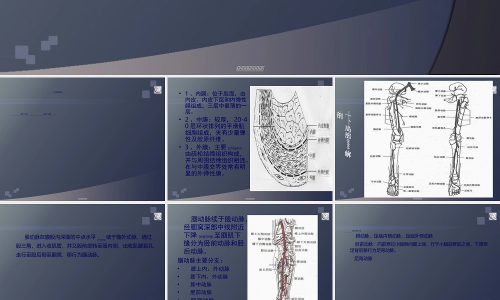 2022年医学专题—下肢血管超声检查(1).ppt