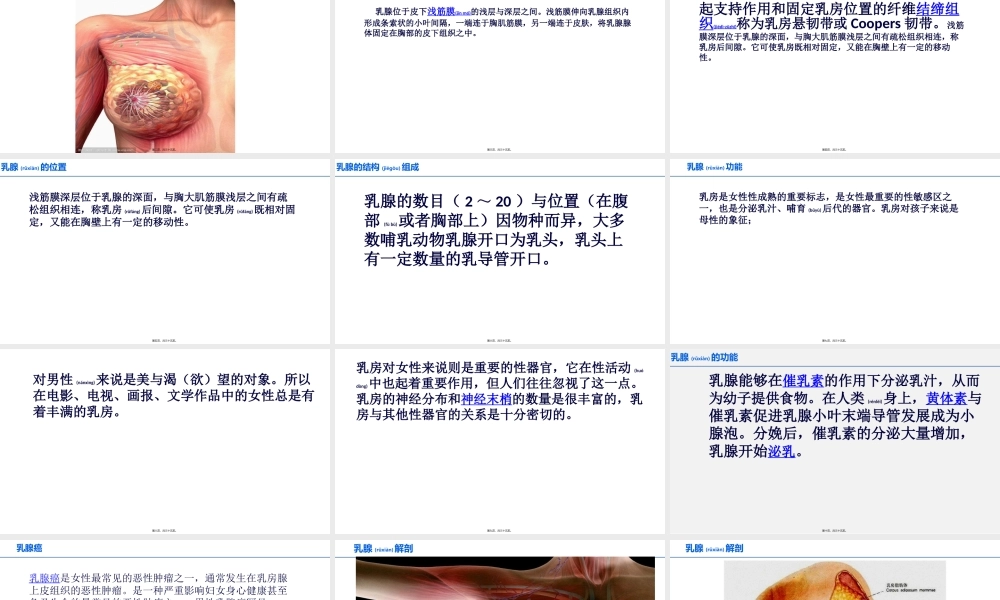 2022年医学专题—乳腺(1).pptx
