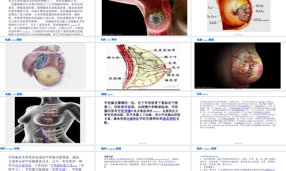 2022年医学专题—乳腺(1).pptx