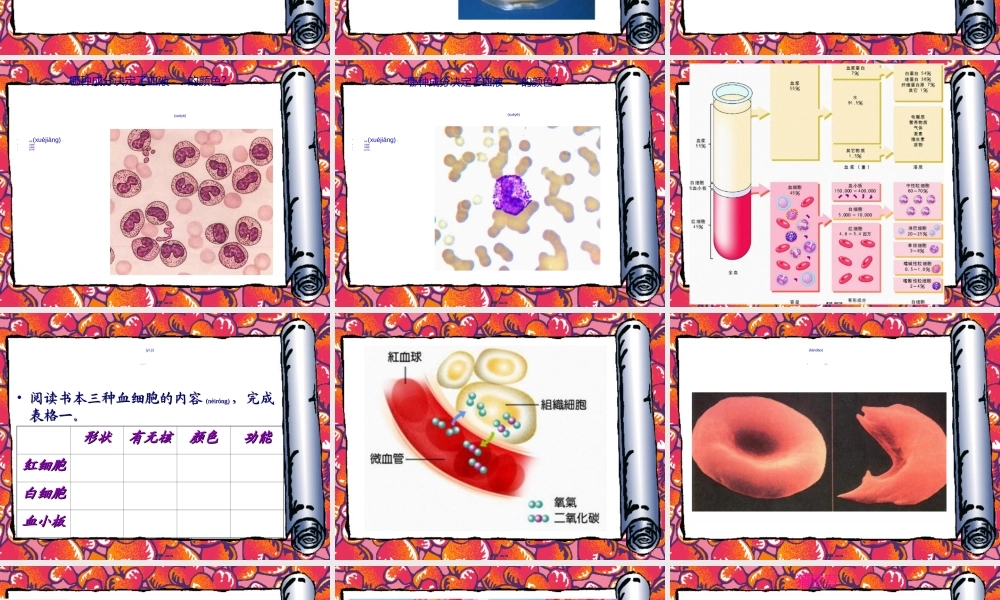 2022年医学专题—人体八大系统——循环系统(1).ppt