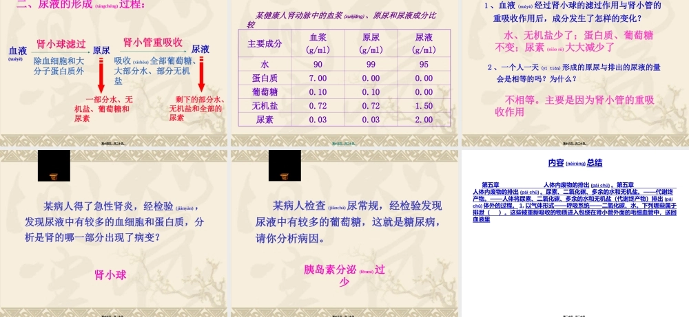 2022年医学专题—人体内废物的排出ppt(1).ppt