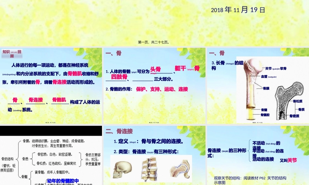 2022年医学专题—人体的运动(2)(1).pptx