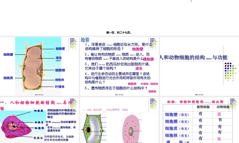 2022年医学专题—人和动物细胞的结构与功能(1).ppt