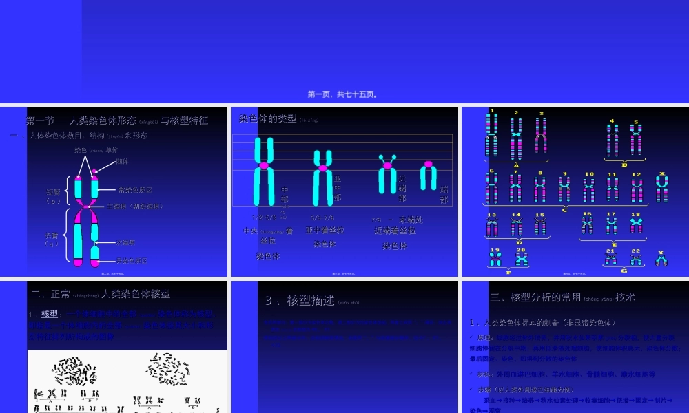 2022年医学专题—人染色体与染色体病(1).ppt