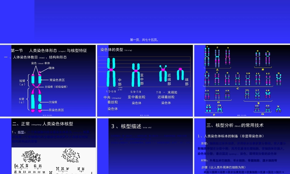 2022年医学专题—人染色体染色体病(1).ppt
