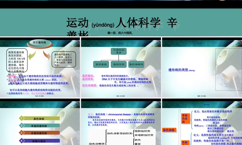 2022年医学专题—人类常见遗传病(1).ppt