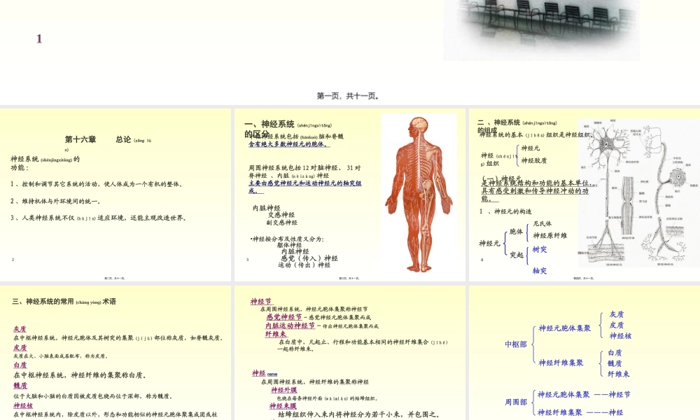 2022年医学专题—傅健简介——末-梢-神-经-炎--概-括(1).ppt