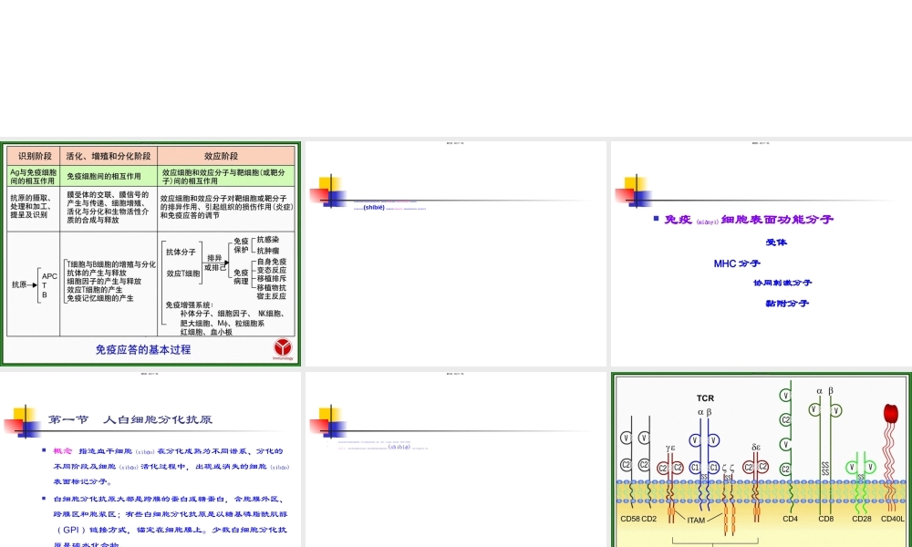 2022年医学专题—免疫学--白细胞分化抗原(1).ppt