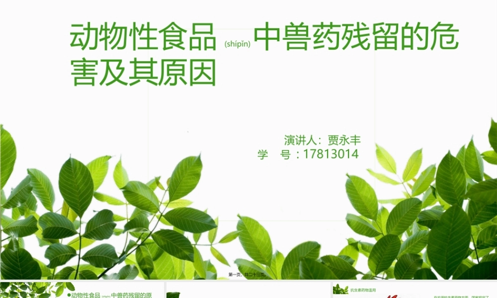 2022年医学专题—动物性食品中兽药残留的危害及其原因(1).pptx