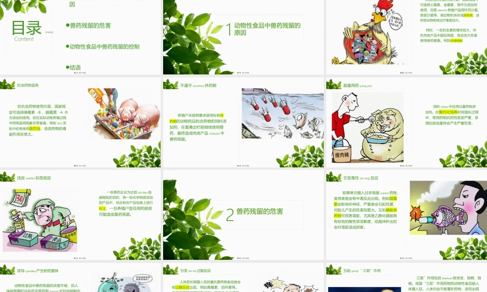 2022年医学专题—动物性食品中兽药残留的危害及其原因(1).pptx