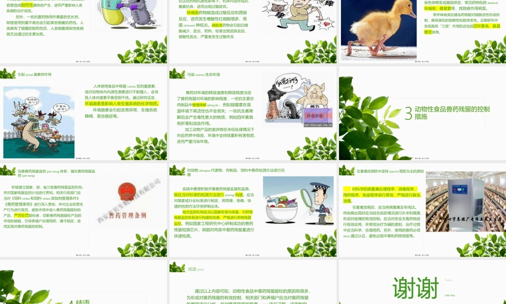 2022年医学专题—动物性食品中兽药残留的危害及其原因(1).pptx