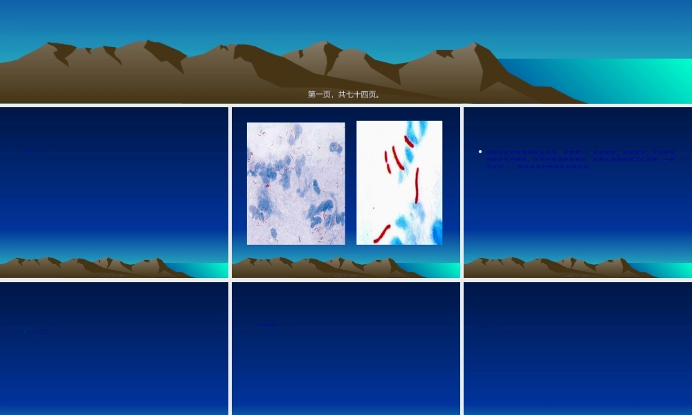 2022年医学专题—北京耐多药肺结核控制项目试验室相关问题(1).ppt