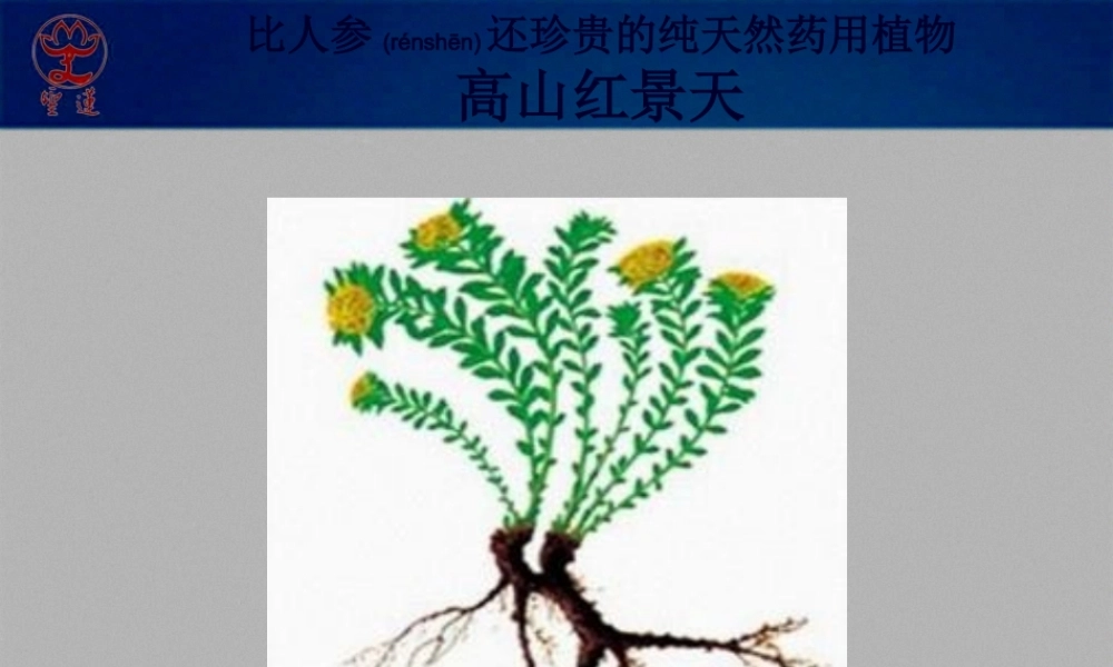 2022年医学专题—医书药典记载的红景天(1).ppt