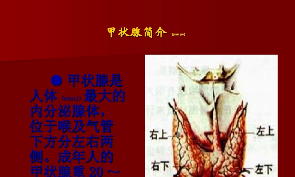 2022年医学专题—单纯性甲状腺肿PPT(1).ppt