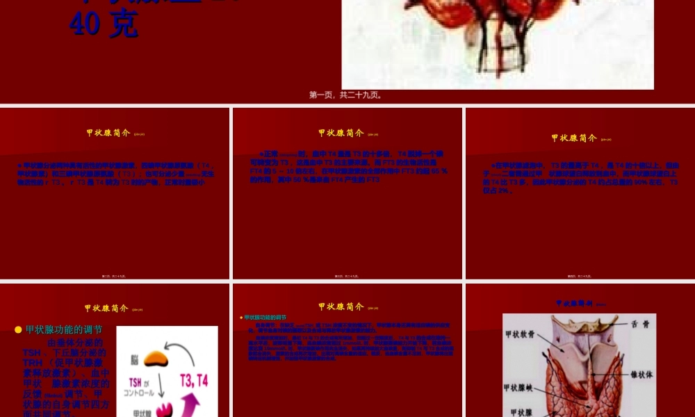 2022年医学专题—单纯性甲状腺肿PPT(1).ppt