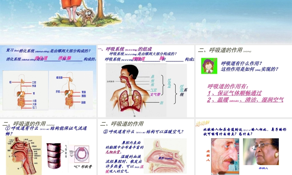 2022年医学专题—呼吸道对空气的处理2(1).ppt