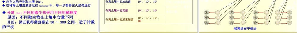 2022年医学专题—土壤中分解尿素的细菌的分离和计数-上课用(1).ppt