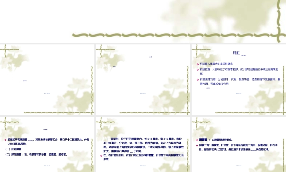 2022年医学专题—外2科——胆道疾患(1).ppt