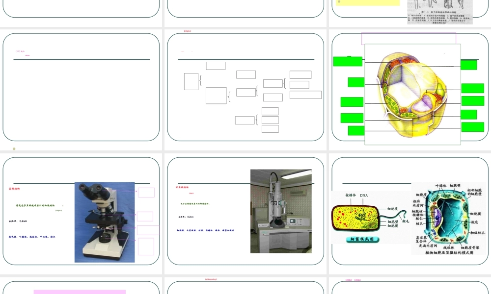 2022年医学专题—大学植物学1细胞(1).ppt