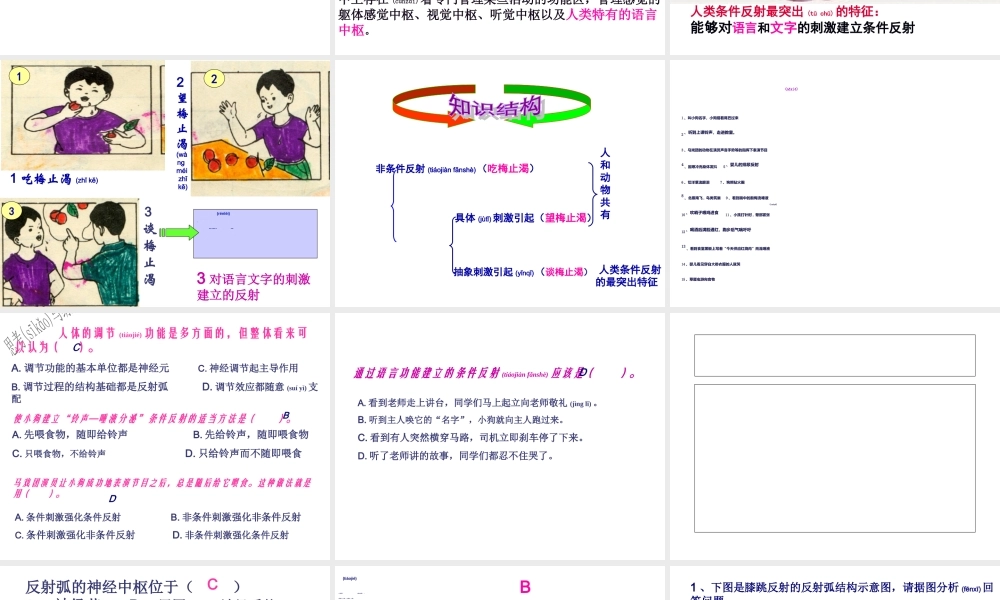 2022年医学专题—大脑皮层是神经系统的最高级中枢00(1)(1).ppt