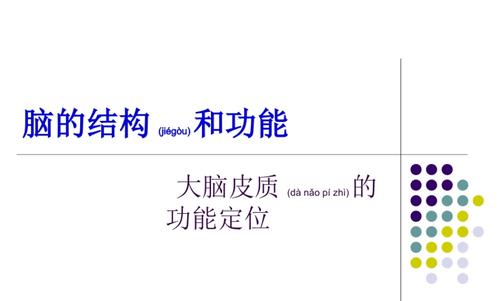 2022年医学专题—大脑皮质的功能定位(1).ppt
