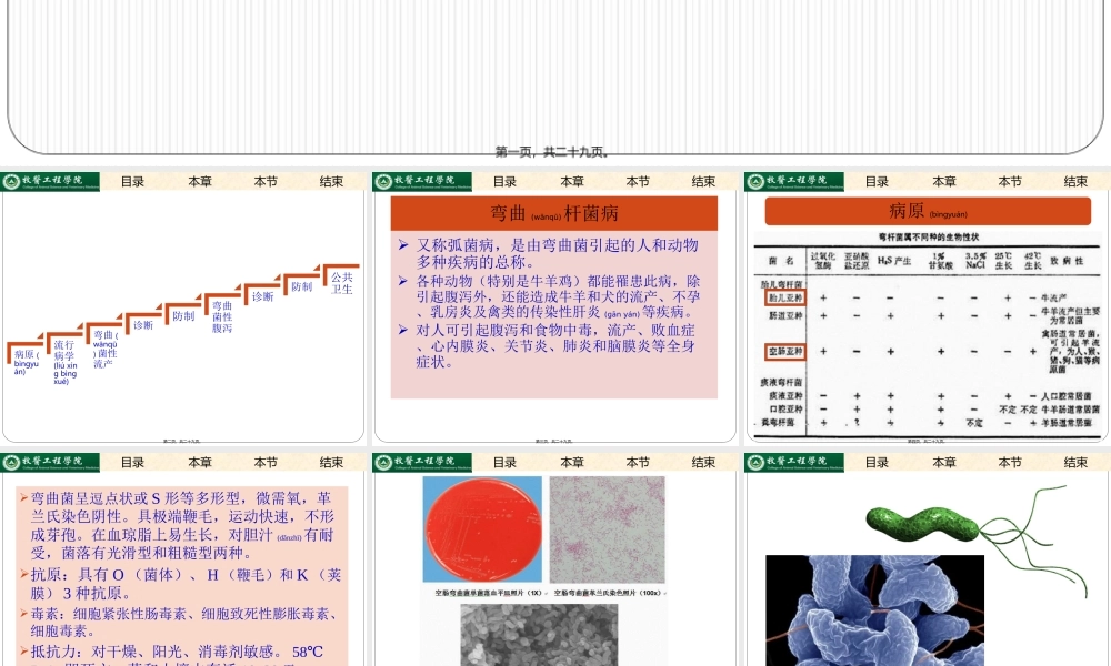 2022年医学专题—弯曲杆菌病.(1).ppt