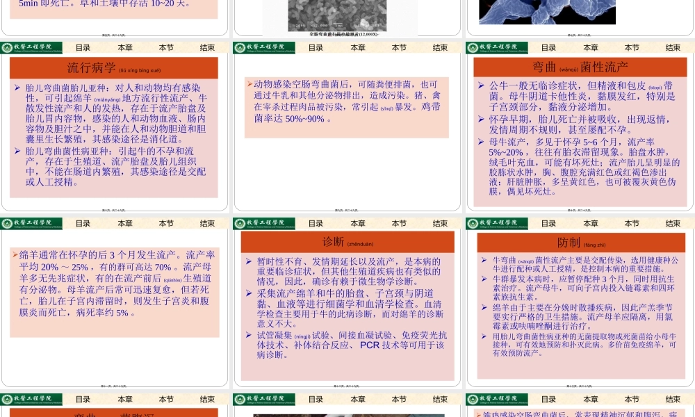 2022年医学专题—弯曲杆菌病.(1).ppt