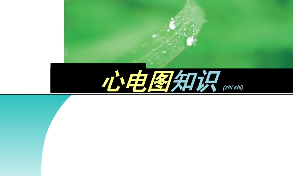 2022年医学专题—心电图与常见急救药品的应用(1).ppt