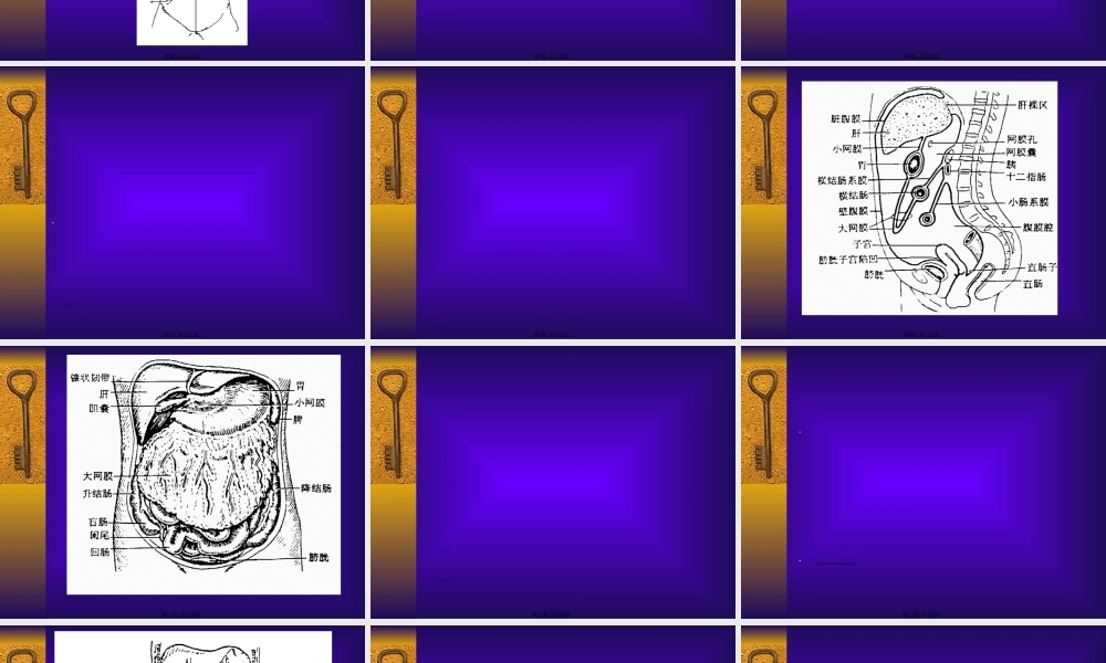 2022年医学专题—急性化脓性腹膜炎(1).ppt