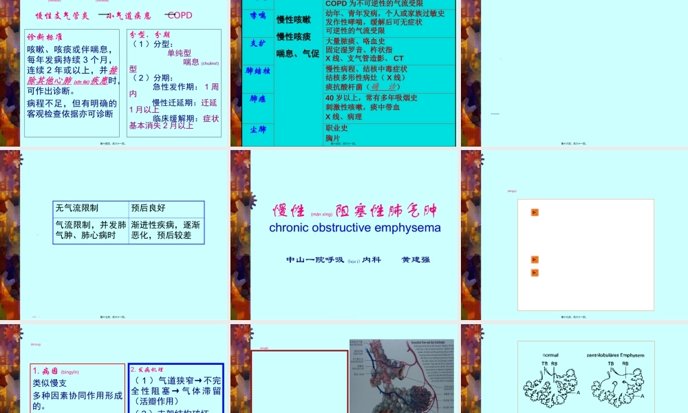 2022年医学专题—慢支、肺气肿、支扩(中山)(1).ppt