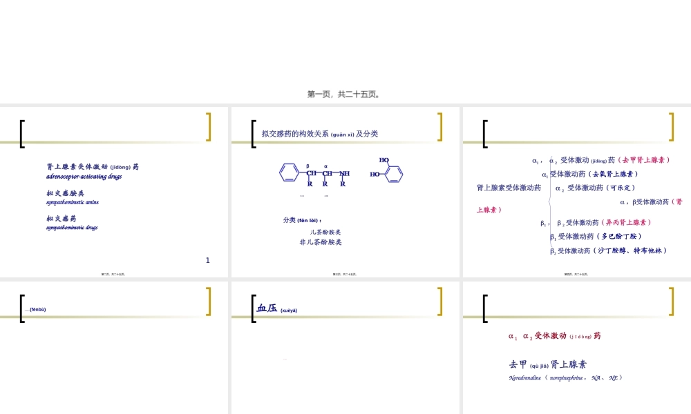 2022年医学专题—拟交感药(1).ppt