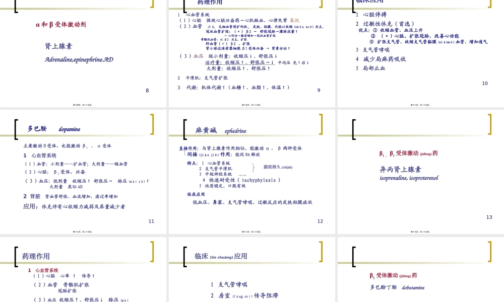 2022年医学专题—拟交感药(1).ppt