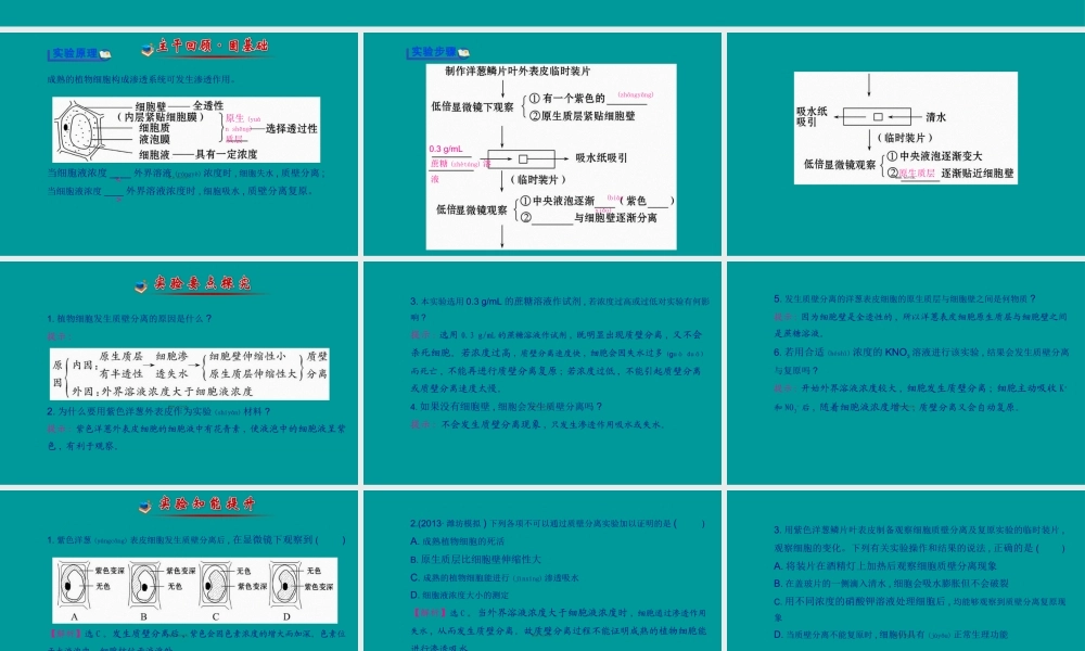 2022年医学专题—探究植物细胞的吸水和失水成熟的植物细胞构成渗透系统可发生渗透(1).ppt