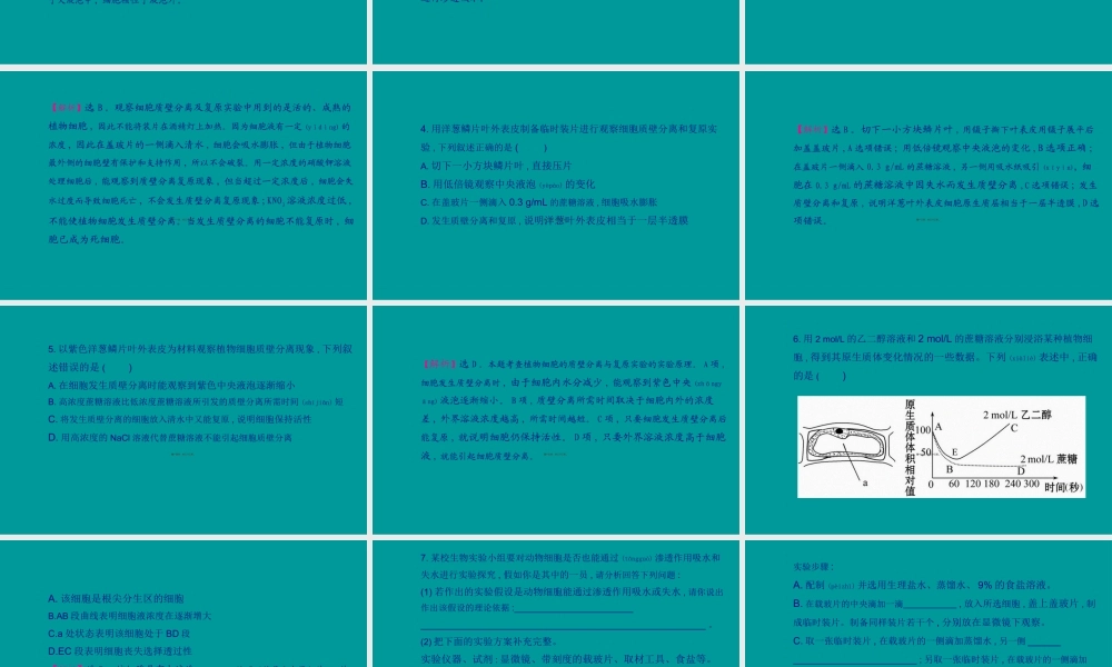 2022年医学专题—探究植物细胞的吸水和失水成熟的植物细胞构成渗透系统可发生渗透(1).ppt