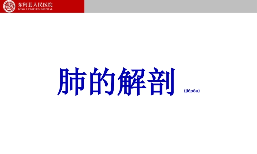 2022年医学专题—支气管镜下肺脏的分段(1).ppt