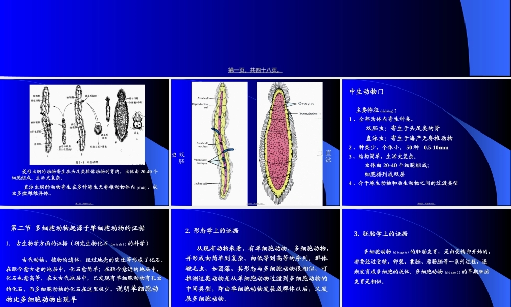 2022年医学专题—普通动物学-多细胞动物的起源(1).ppt