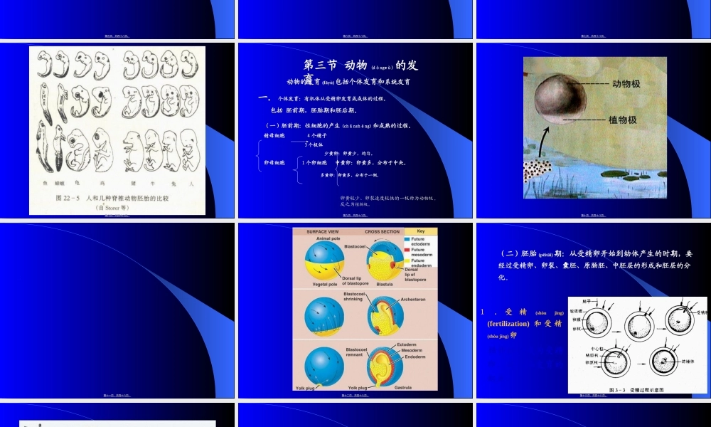 2022年医学专题—普通动物学-多细胞动物的起源(1).ppt