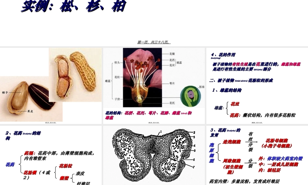 2022年医学专题—月季花药培养(1).ppt